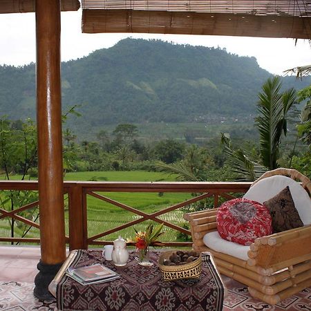 Bebek Biru Hotel Sidemen  Luaran gambar