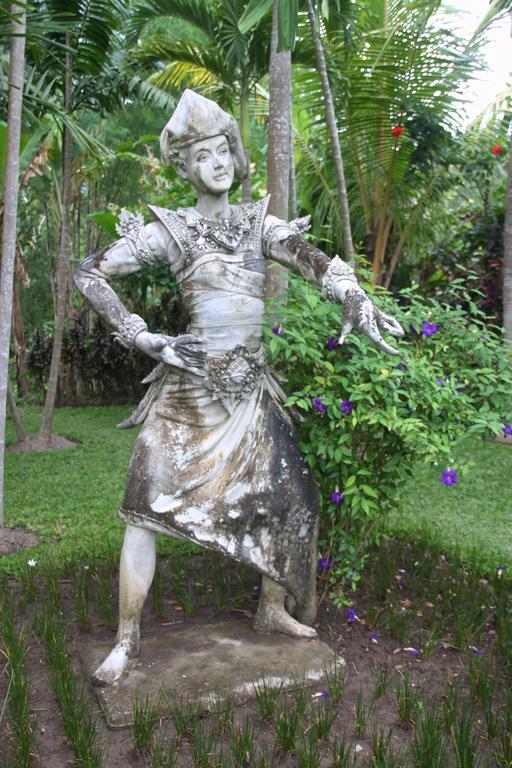 Bebek Biru Hotel Sidemen  Luaran gambar