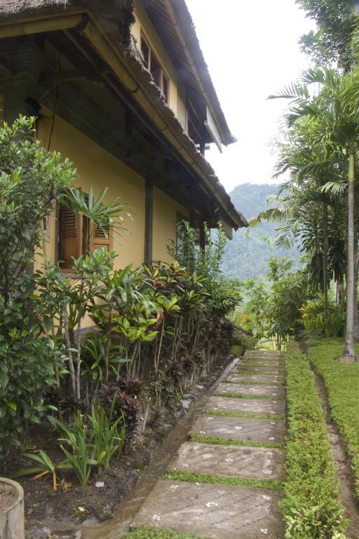 Bebek Biru Hotel Sidemen  Luaran gambar